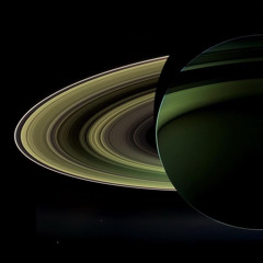 SHROOM WORLD COZYLUSH