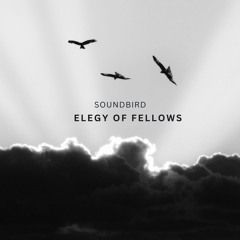 Elegy of Fellows