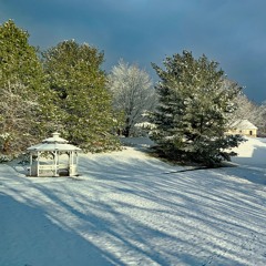 White Christmas (Anglo Concertina)