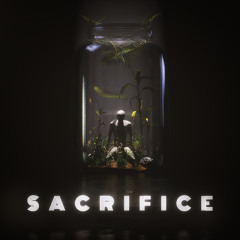 Sacrifice (ST Mix) [feat. Kx5]