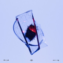 Premiere: Berga - What Happened With Love [Fuxbau Records]