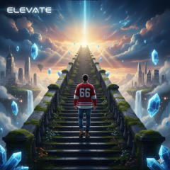 Elevate