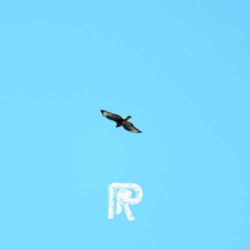 RANGER - Celestial Riot