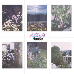 Ally's Afro House Vol 1