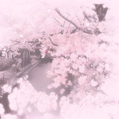 reclusive (silokilledthis)