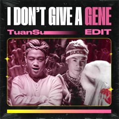 BINZ ft LIL JON - I DON'T GIVE A GENE (TuanSu EDIT)