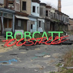BOBCATT - TOO STREET