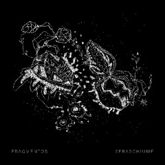 PREMIERE775 // SebaSchiume - Disociación