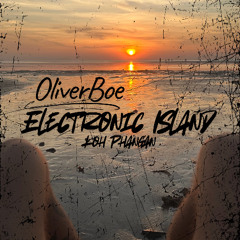 Electronic Island