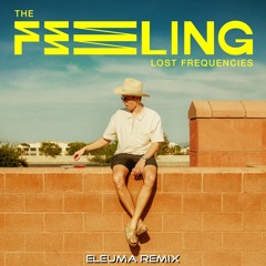 Lost Frequencies - The Feeling (Eleuma Remix)