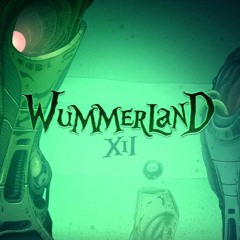 Astronom Live@Wummerland