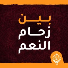 16 - بين زحام النعم   الكليتين