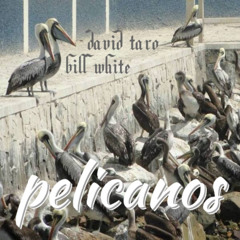 Pelicanos