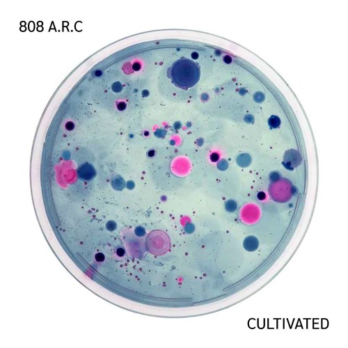 808 A.R.C - Microcosmos