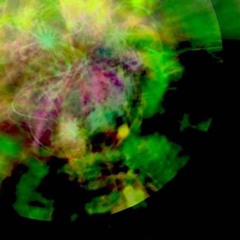 Grey Morris - Browned Eyed Girl