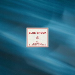 Blue Snook w/ DLJ & Bastien Brison