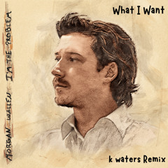 What I Want (k waters Remix)