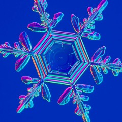 Freddy Fresh @ Absolute Zero 06.22.18 Master Mix