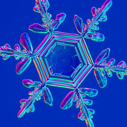 Freddy Fresh @ Absolute Zero 06.22.18 Master Mix