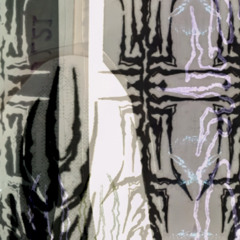 Introspection (live extract)