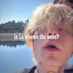 silver lake story