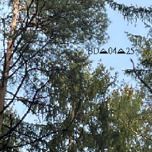 апрель двадцать пятого