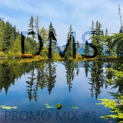DMS promo mix 1