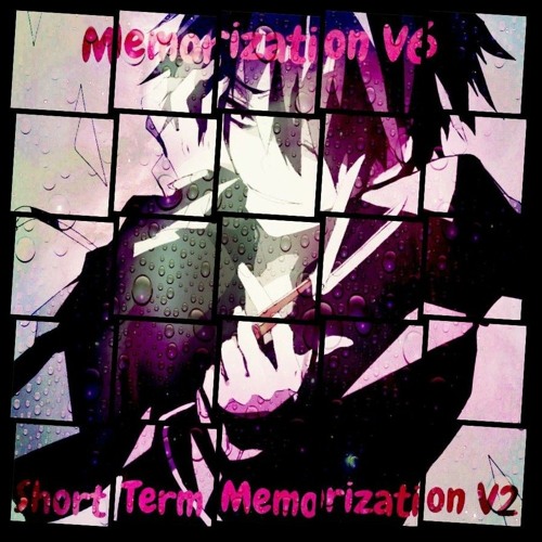 Short Term Memorization V2 (Memorization V6/Self-Insert)