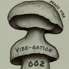 VIBE-RATION 002