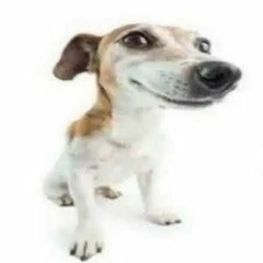 wenimechaindasuma.mp3