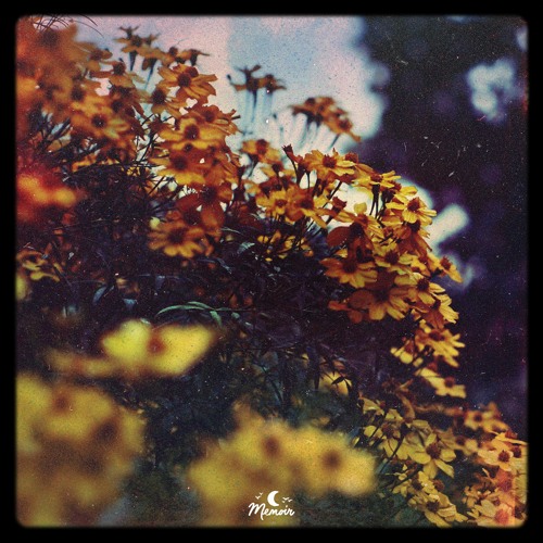 Sundreamer & edapollo - hello, goodbye