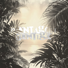 MONTAGEM CONTIGO (Sped Up)