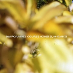 Roaming Course Nr. 42 (23/10/27, Radio 80000)