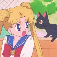 dear sailor moon (three summers ago) old