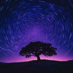 Chill-Synthwave Sessions