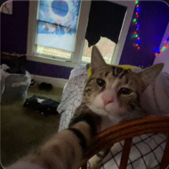 puttin in pain (prod.hxrrxr)