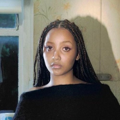 Flowers - Pinkpantheress (Extended + Combined snippets)