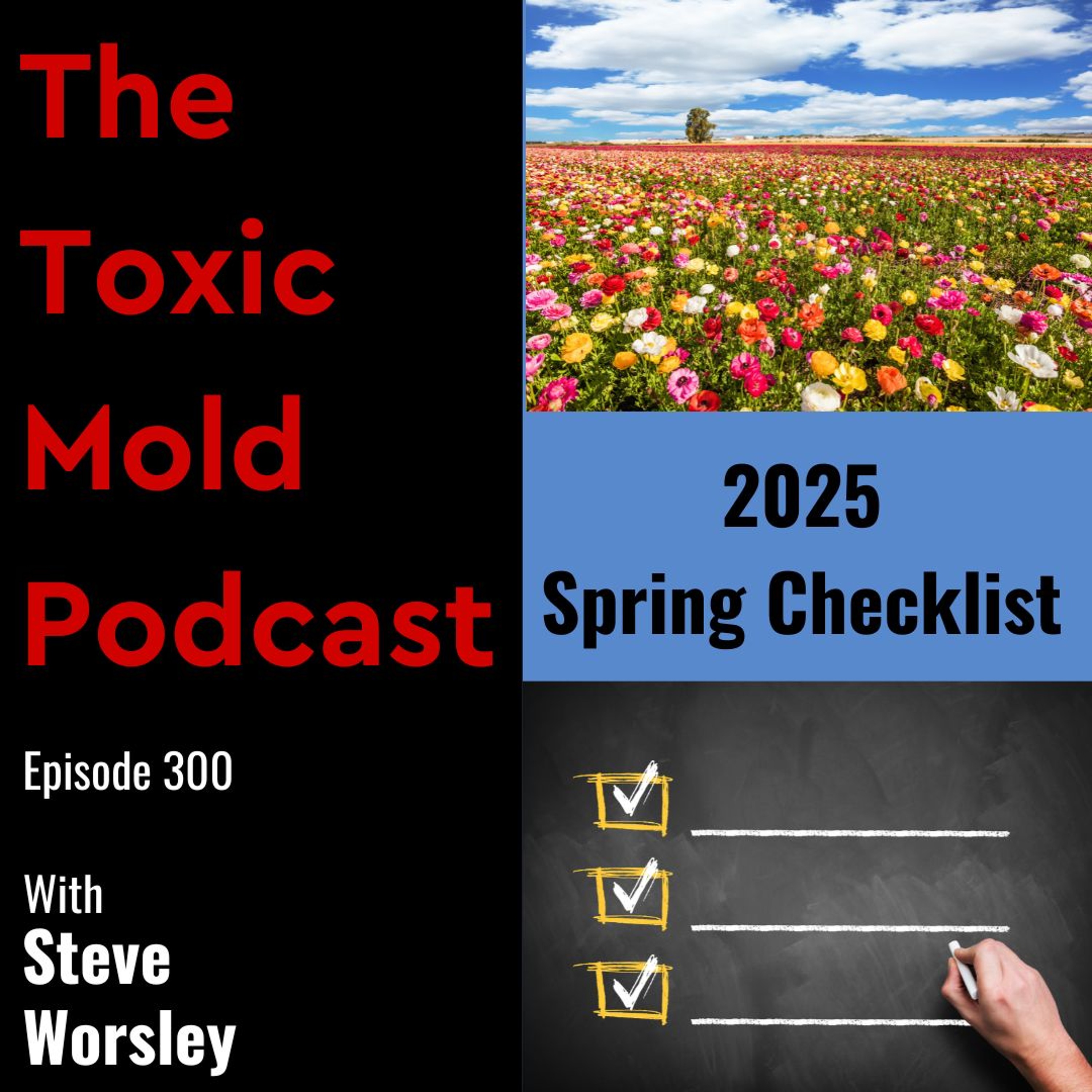 EP 300: 2025 Spring Checklist