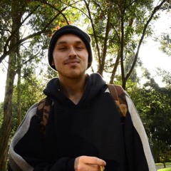 sin visajes // penyair