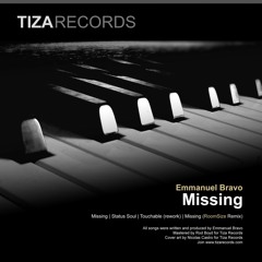 Missing (RoomSize Remix)