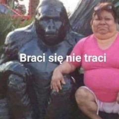 diss na zakon