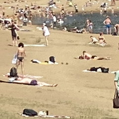 На солнцепеке