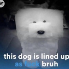 knock knock ( p. xangang & dante's promise)