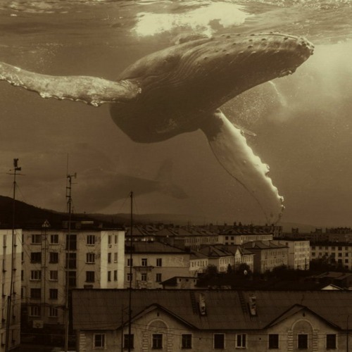 Loneliness - ID 2 (Mixed & Extended)