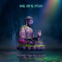 Bionic Pulse & Zivo - We Are Now [FREE DOWNLOAD]