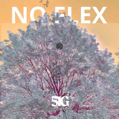 No Flex