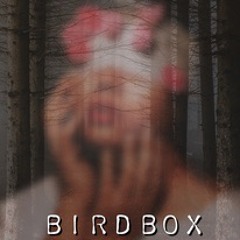 Bird Box