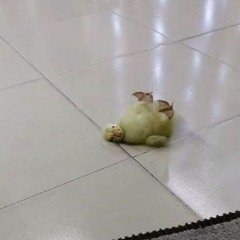 mua thu cua anh la nang dok