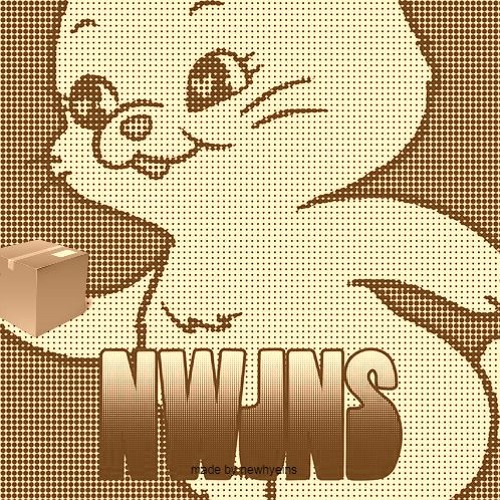 "cardboard box x cookie" - flo & newjeans (Mashup)