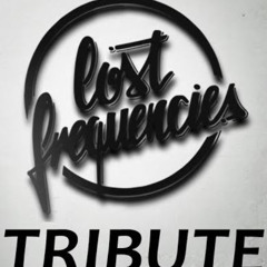 Lost Frequencies Tribute